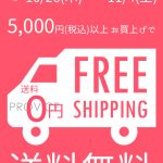 5000円以上で送料無料キャンペーン！【10月26日～11月4日の10日間限定】インターネットを使ってPROVICEでお買い物してみませんか？