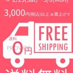 3000円以上で送料無料キャンペーン！【2月25日～3月6日の10日間限定】インターネットを使ってPROVICEでお買い物してみませんか？