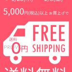 5000円以上で送料無料キャンペーン！【1月25日～2月3日の10日間限定】インターネットを使ってPROVICEでお買い物してみませんか？