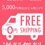 5000円以上で送料無料キャンペーン！【12月25日～1月3日の10日間限定】インターネットを使ってPROVICEでお買い物してみませんか？