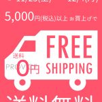 5000円以上で送料無料キャンペーン！【11月25日～12月4日の10日間限定】インターネットを使ってPROVICEでお買い物してみませんか？